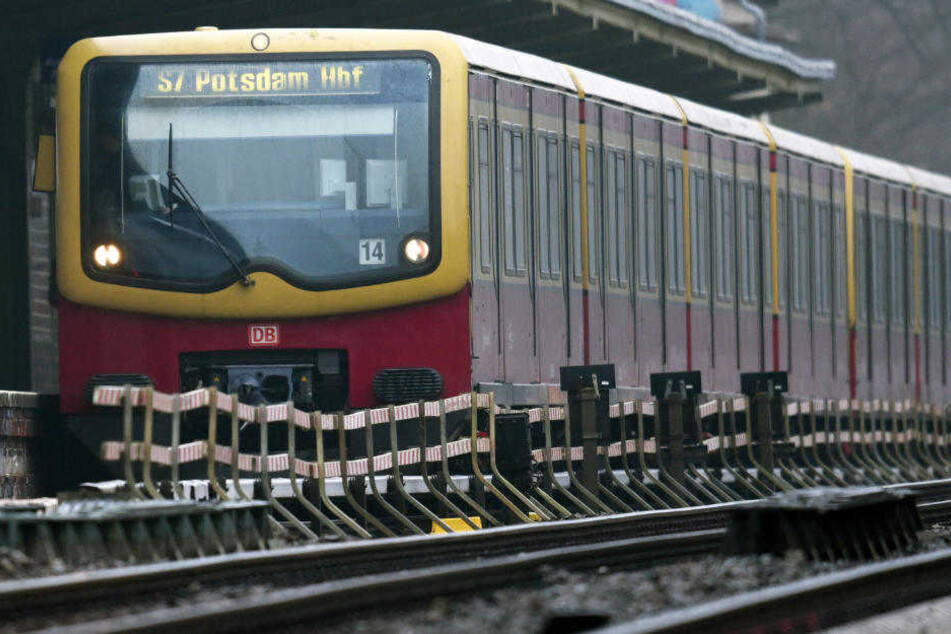 Bislang kennen die Berliner die S-Bahn nur so. 2021 kommen neue Züge im Teilnetz Ring/Südost zum Einsatz.