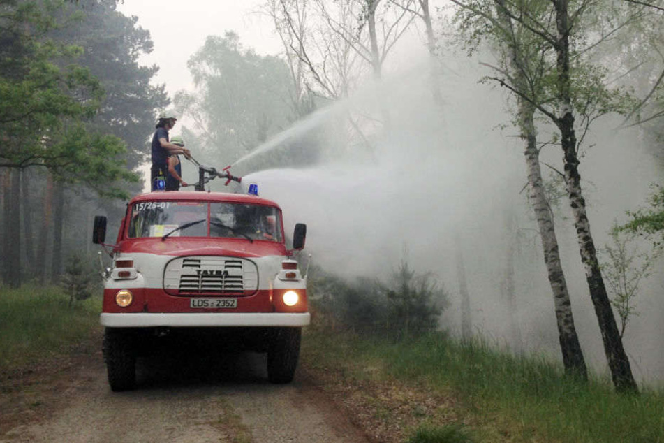 Die Feuerwehr kämpft gegen das Feuer in der Lieberoser Heide. (Archivbild)