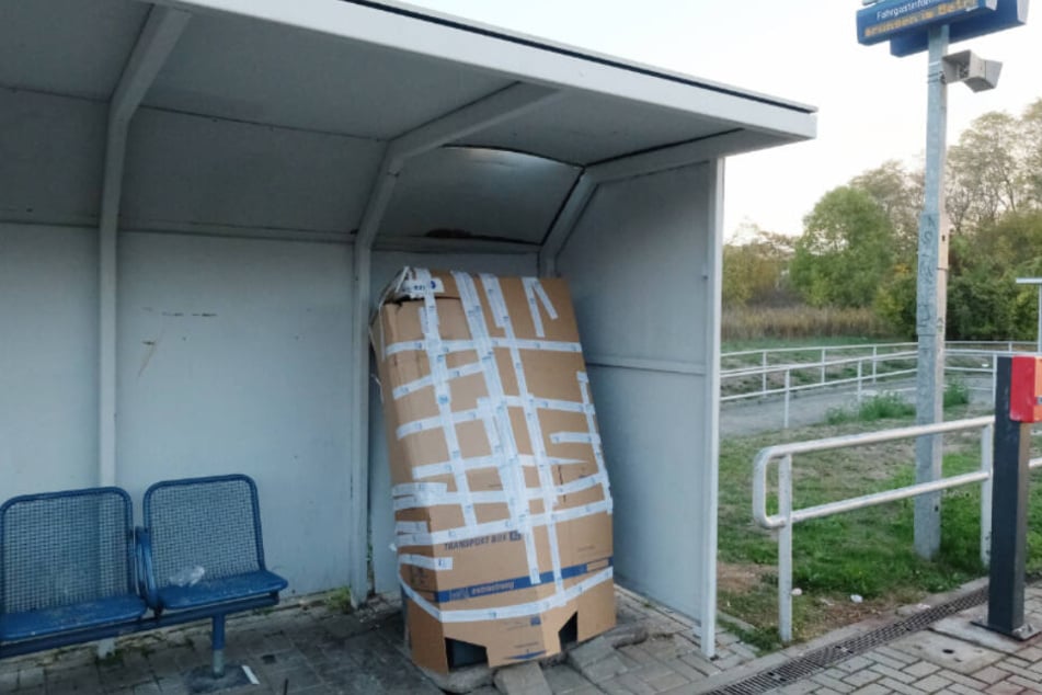 Die Verhandlung am Amtsgericht in Halle (Saale) beginnt an diesem Donnerstag.