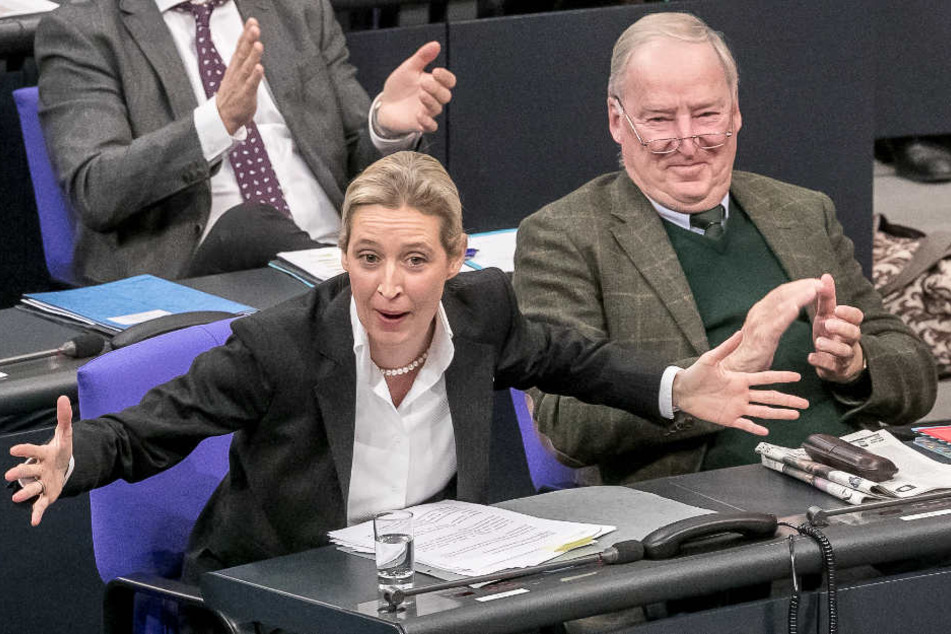 Weidel neben Alexander Gauland am Mittwoch im Bundestag.