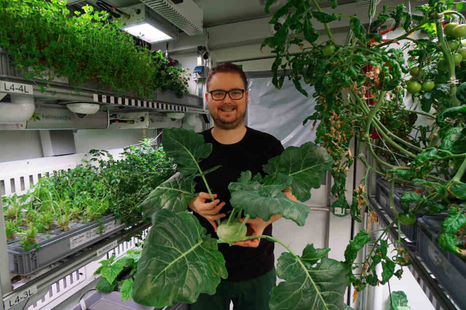 Forscher Paul Zabel steht mit geerntetem Kohlrabi im Gewächshaus in der Antarktis.