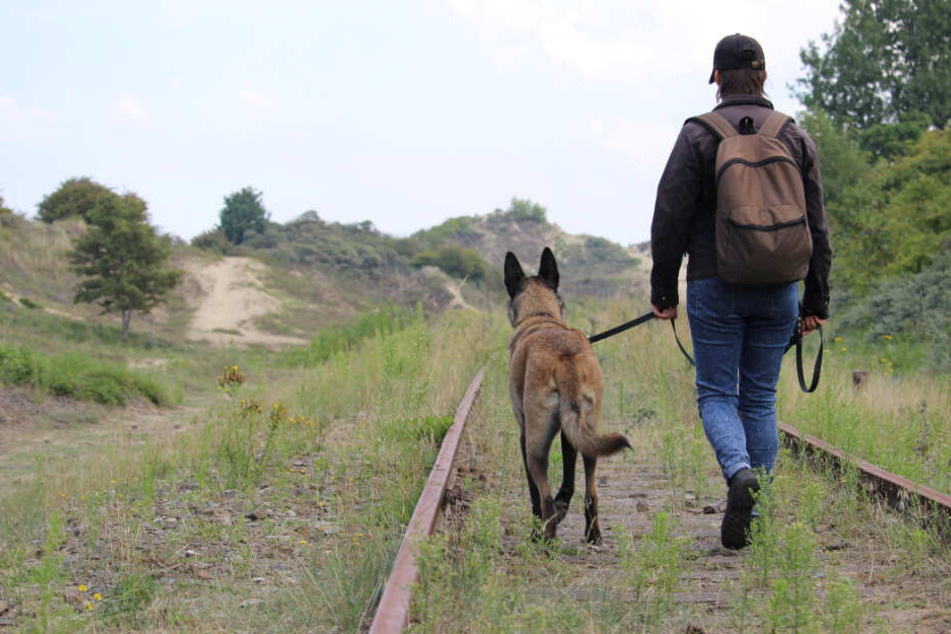 Mann geht mit Hund auf Gleisen Gassi, dann kommt ein Zug