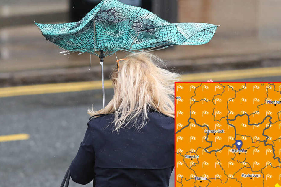 Da hilft auch kein Regenschirm mehr. (Symbolbild)