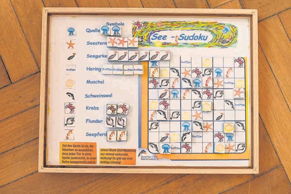 Statt auf Papier spielt man sein Meeres-Sudoku auf einer Metallplatte und mit Holzklötzchen auf Magneten. So kann es immer wieder verwendet werden.