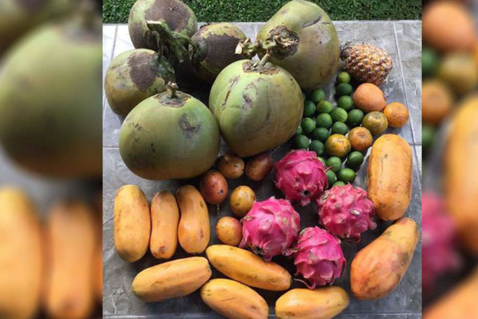 Seit drei Jahren ernähren sich die beiden ausschließlich von Obst.