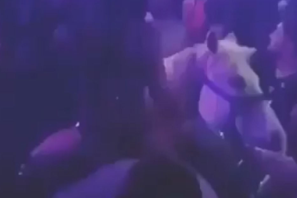 Man zwang das Pferd mitten in auf die Tanzfläche. Doch das Tier dreht völlig durch.