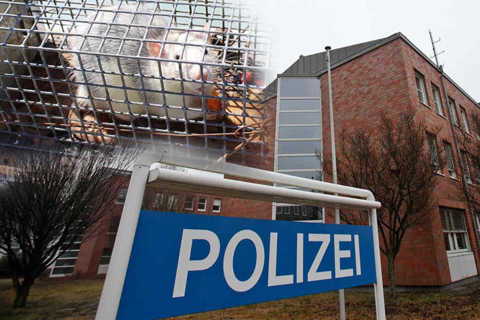 Im Polizeipräsidium in der Stapenhorststraße soll es keine großen Mängel geben.