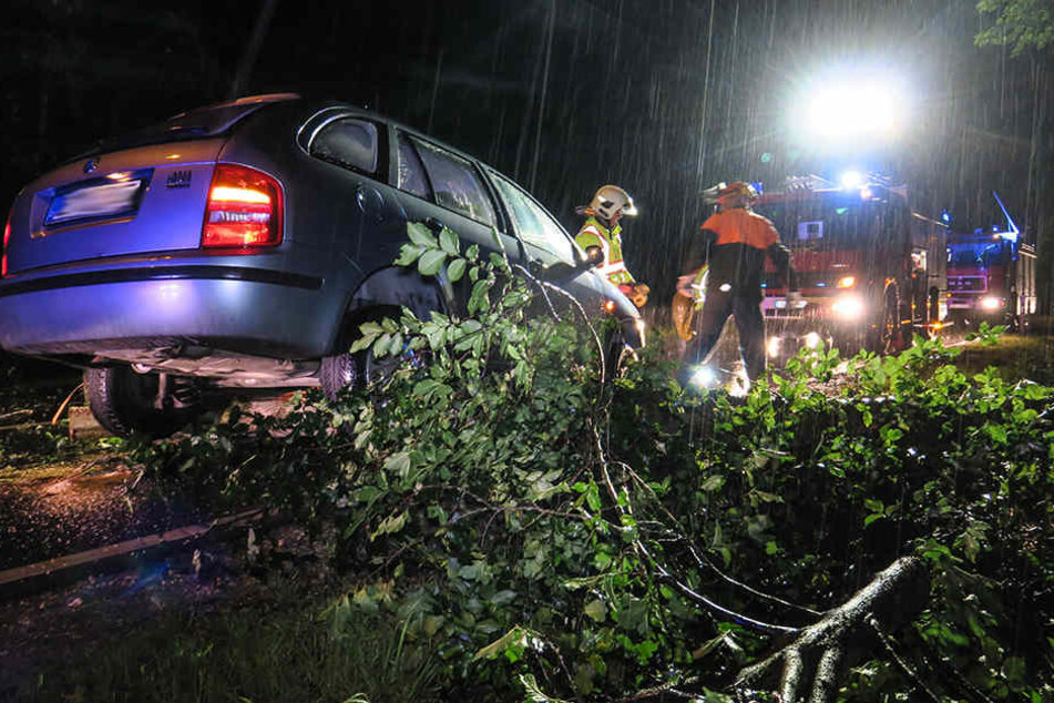 Der Skoda konnte nicht mehr rechtzeitig bremsen und landete auf dem Baum.