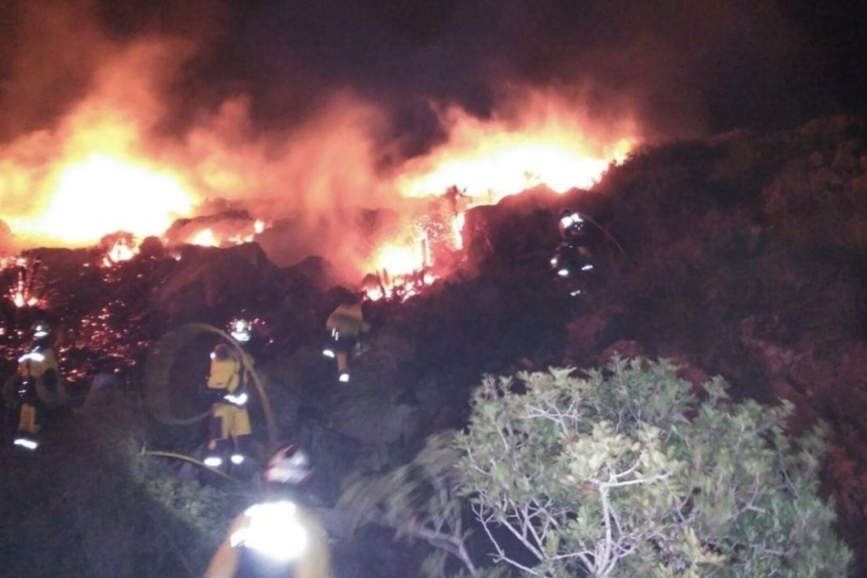 Ein großer Waldbrand hat im Norden Mallorcas den Bewohnern des Hafenortes Port de Pollença den Schlaf geraubt.