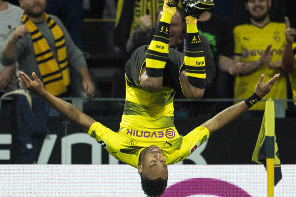 Um die spektakulären Salti des gabunischen BVB-Stars Pierre-Emerick Emiliano
Francois Aubameyang in Zwickau zu
sehen, müssen sich die hiesigen Fans wohl noch etwas gedulden.