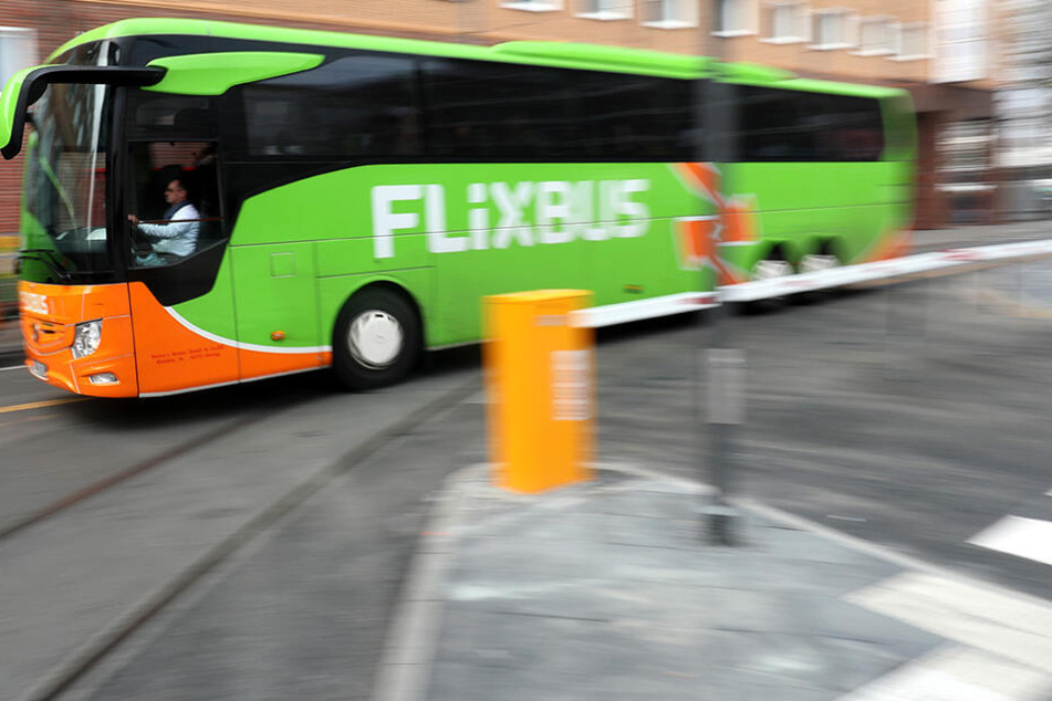 Das Fernbusunternehmen Flixbus darf sich über Nachwuchs freuen.