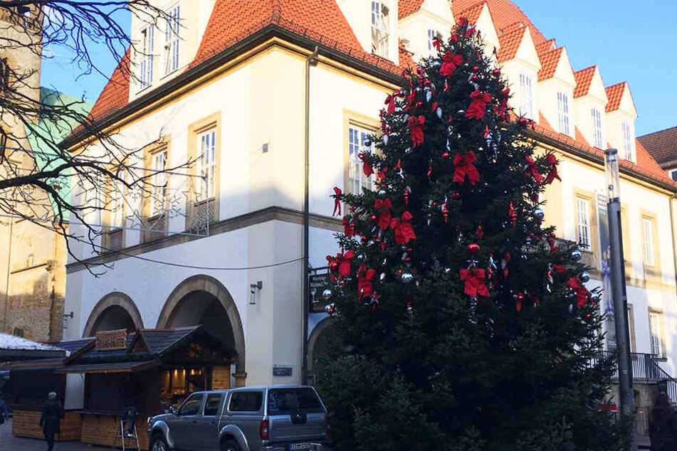 Die Tanne an sich kommt gut an.