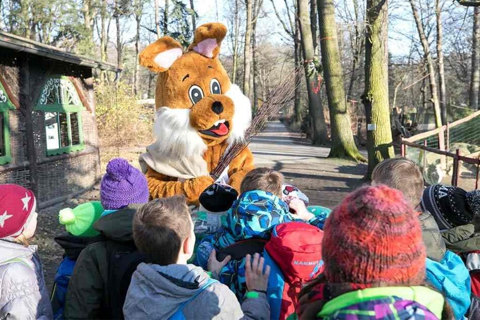 Weihnachtsführung mit dem Osterhasen: Anfangs stiftet das Langohr bei seinen staunenden Gästen Verwirrung.