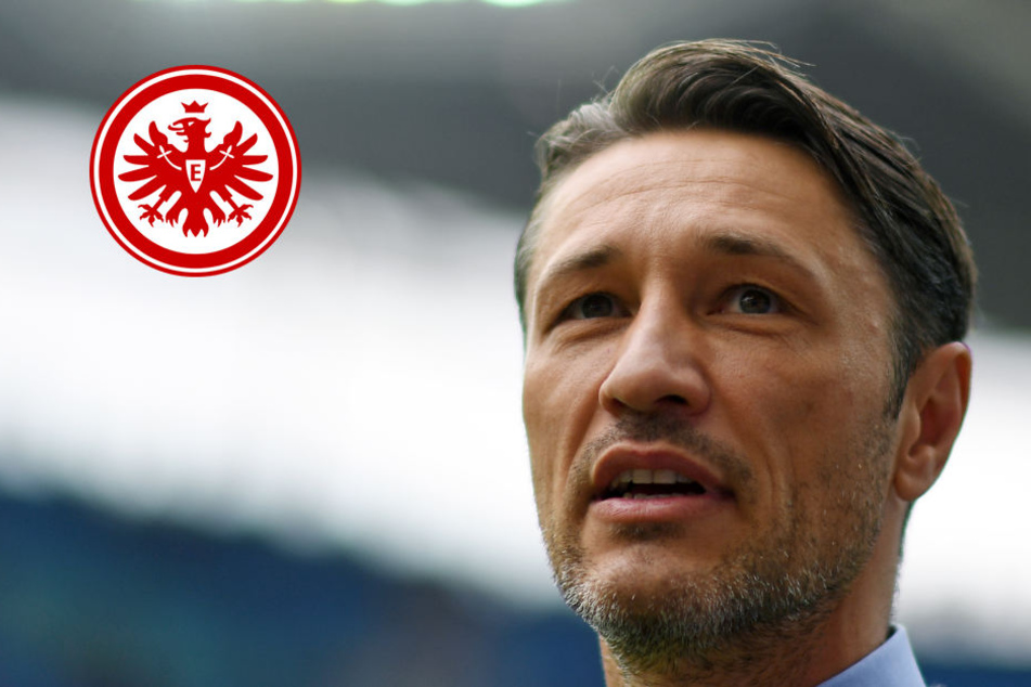Unverständnis: Niko Kovac kann die heftige Kritik an der Spielweise seines Teams nicht nachvollziehen.