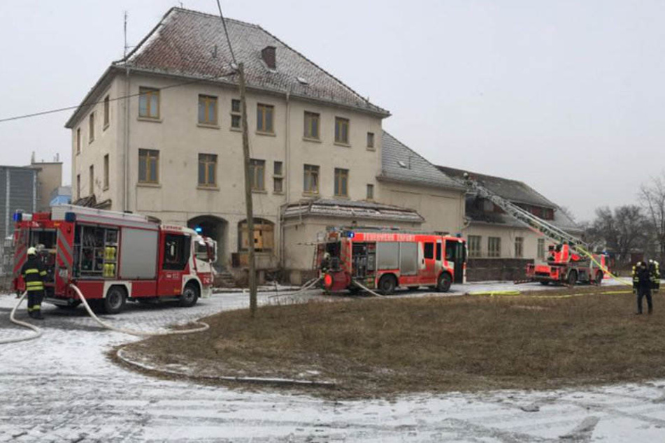 Mehrere Fahrzeuge von Berufsfeuerwehr und Freiwilliger Feuerwehr sind im Einsatz.