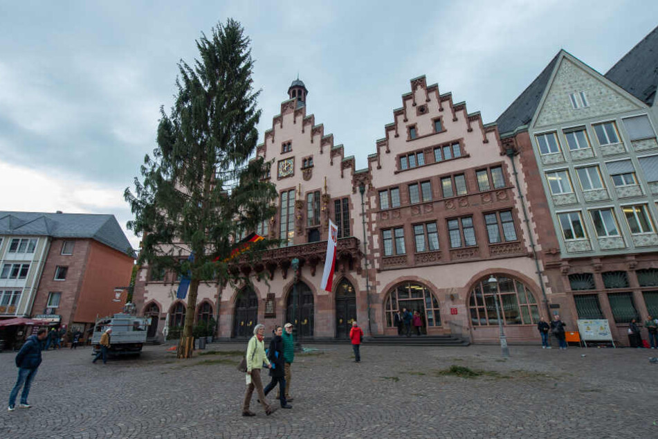Der traditionelle Weihnachtsbaum steht schon seit Anfang November auf dem Frankfurter Römer.