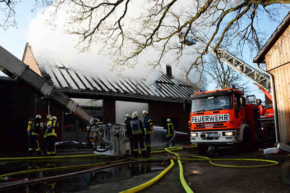 Die Scheune fing am frühen Morgen Feuer.