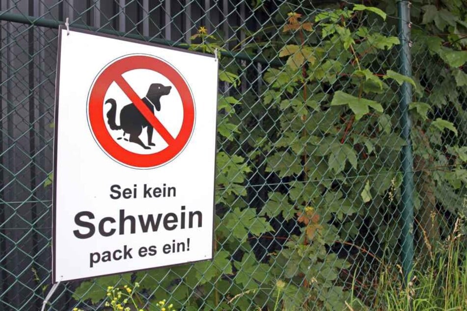 In Zukunft sollen in Goslar nicht nur solche großen Schilder Hundebesitzer animieren, die Geschäfte des Vierbeiners zu beseitigen. (Symbolbild)