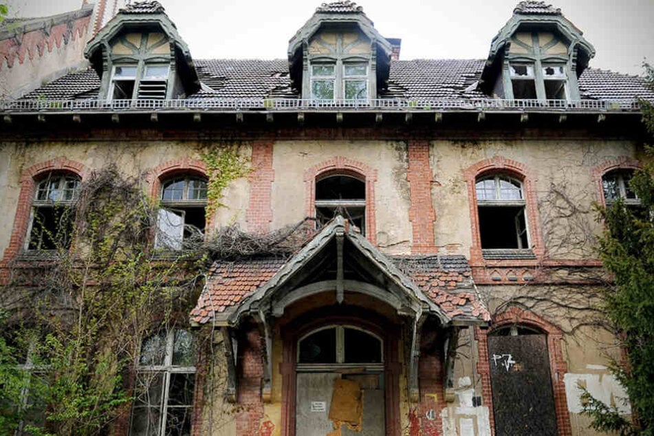Ein verfallenes Gebäude auf dem Gelände der Beelitz-Heilstätten in Beelitz (Brandenburg)