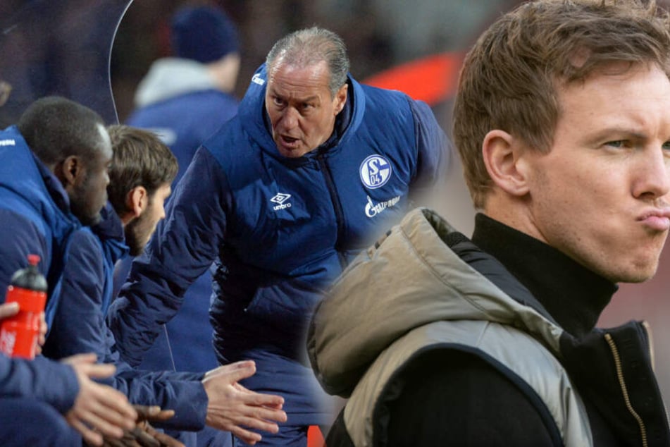 TSG-Coach Julian Nagelsmann (r) fordert Schalkes Kult-Coach Huub Stevens (l). (Fotomontage)