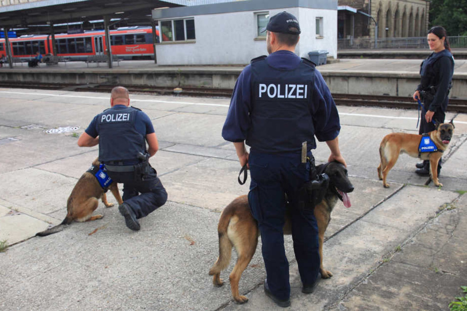 Wie viele Bewerber letzten Endes übernommen werden, wollte das Bundespolizeipräsidium wegen möglicher Absagen im letzten Moment nicht beziffern (Symbolbild).