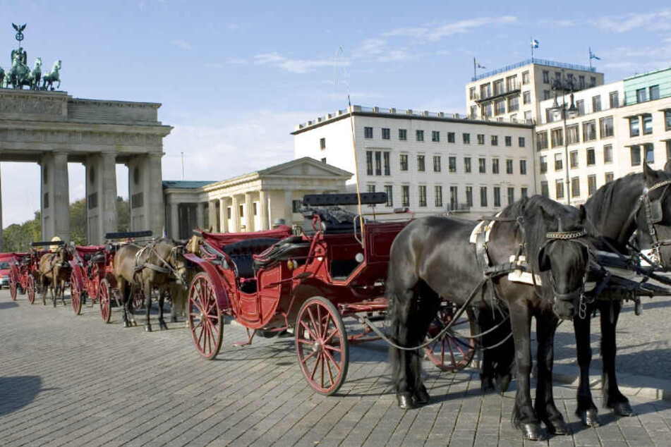 Pferdekutschen dürfen nun vorerst doch wieder durch das Brandenburger Tor.