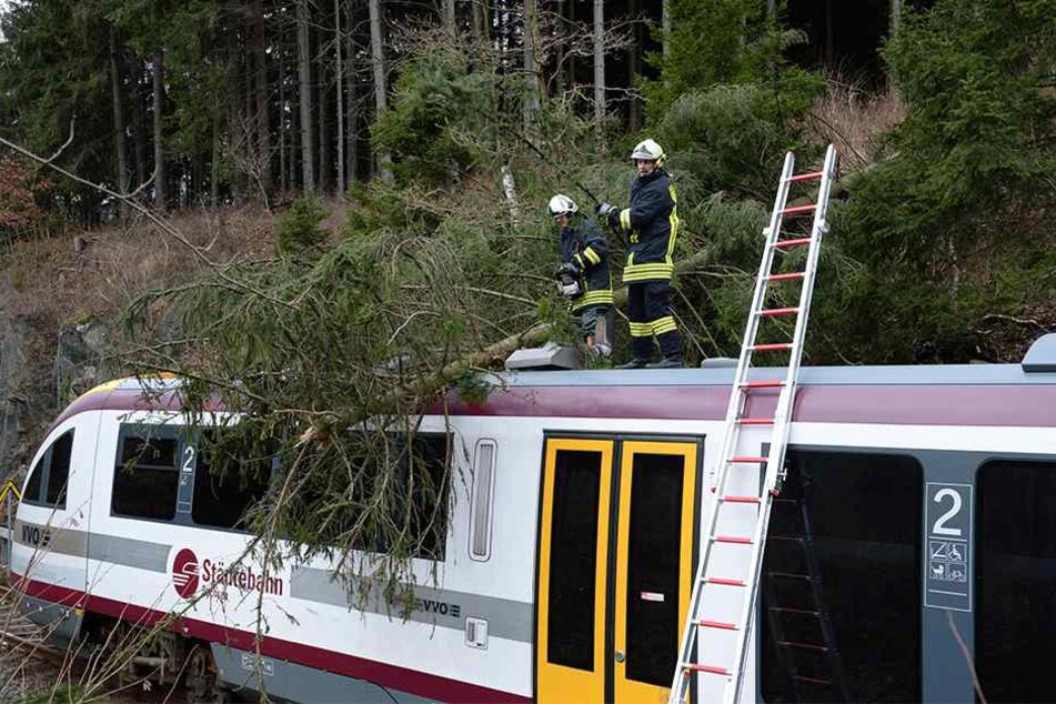 Die Städtebahn hat immer wieder mit stürzenden Bäumen auf ihren Strecken zu kämpfen.
