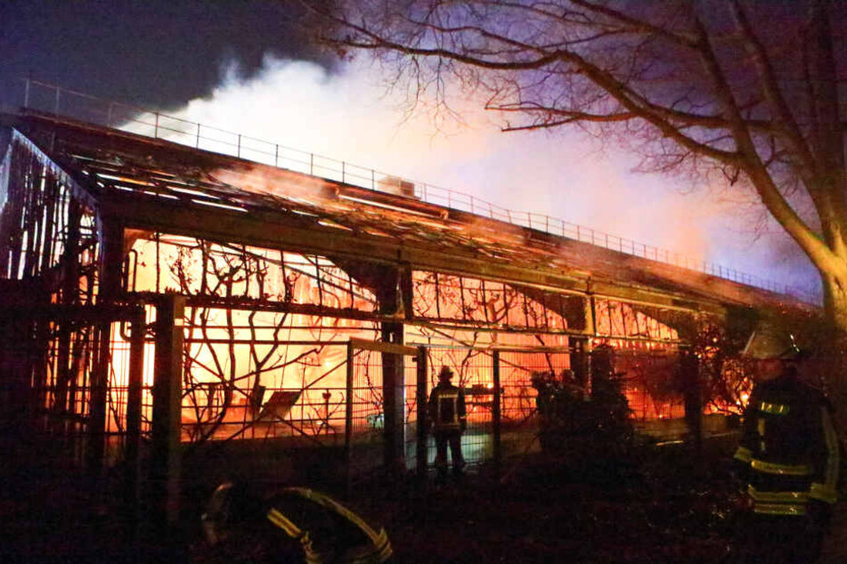 Feuerwehrleute nach den Löscharbeiten am Krefelder Zoo.