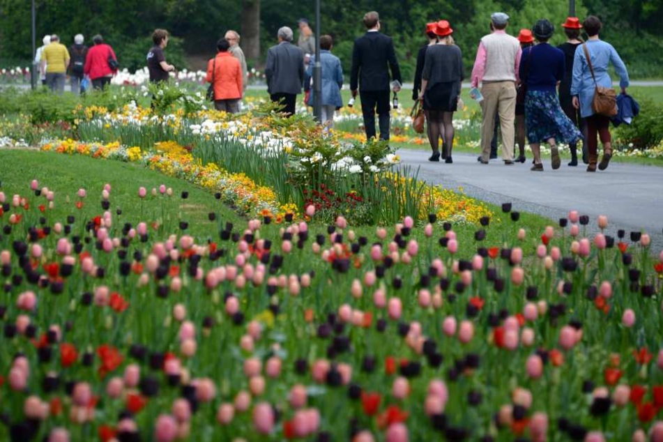 Die Landesgartenschau findet 2023 in Fulda statt.