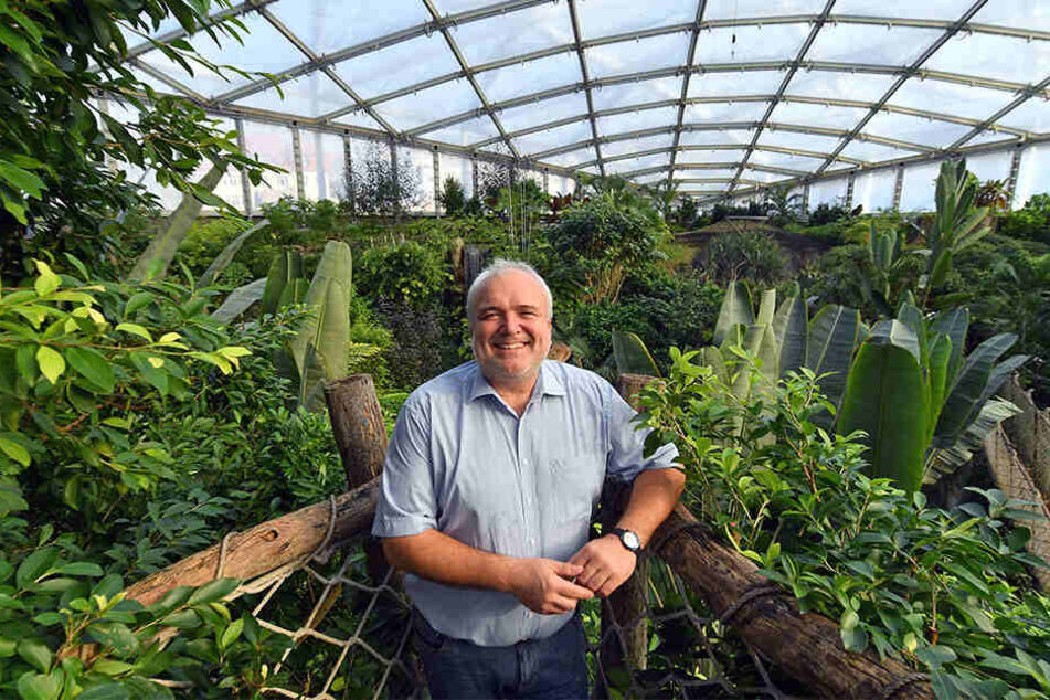 Seit mehr als 20 Jahren ist Jörg Junhold (55) Direktor des Leipziger Zoos.