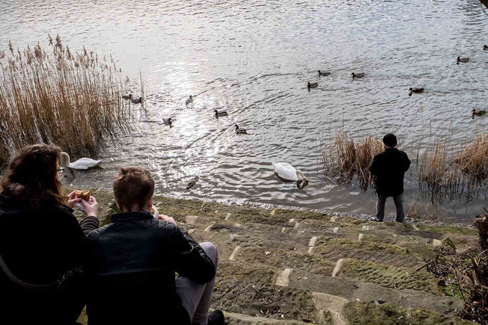 Wie der Mann genau in der Weser landete, ist unklar. (Symbolbild)