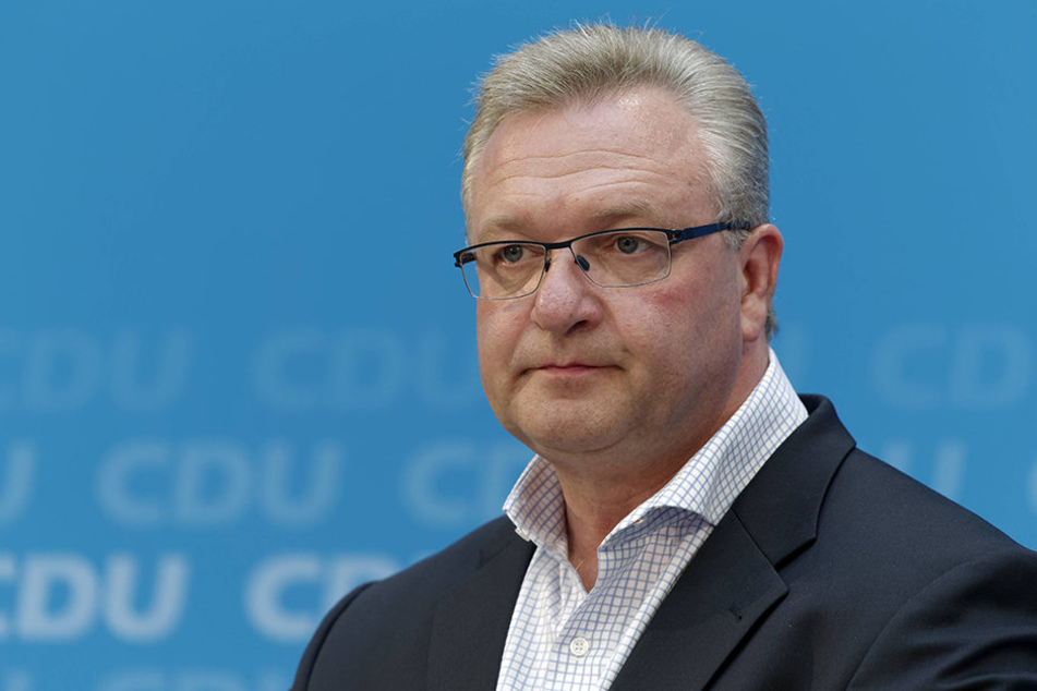 Zielt Jenna Behrends mit ihrer Sexismus-Kritik auf den 52-Jährigen Frank Henkel ab?