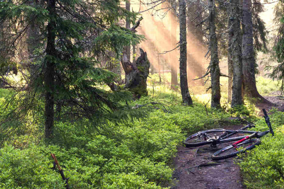 Der Radfahrer starb vermutlich an den Folgen des Unfalls. (Symbolbild)