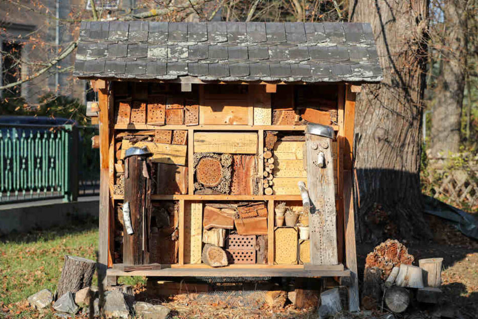 Ein Insektenhotel auf dem Gelände der Kreisnaturschutzstation.