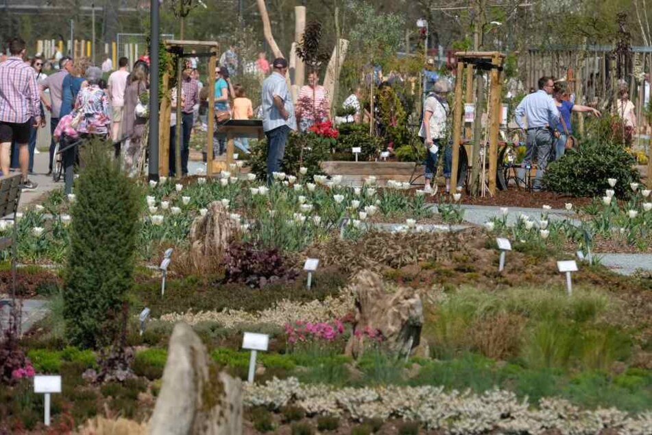 Seit der Eröffnung waren schon rund 160.000 Besucher bei der Landesgartenschau.