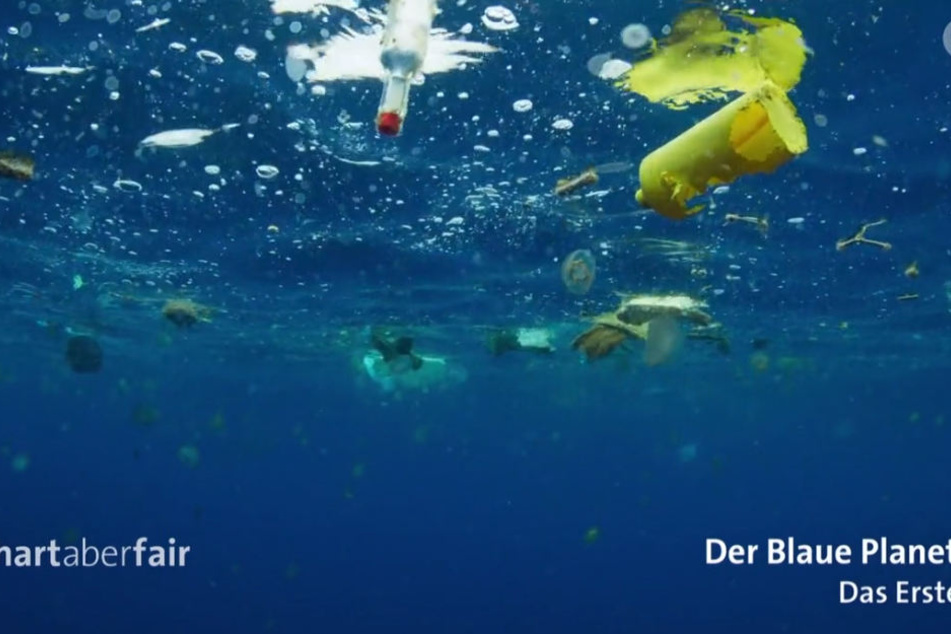 Es ist fünf vor zwölf - die Meere ersticken im Müll.