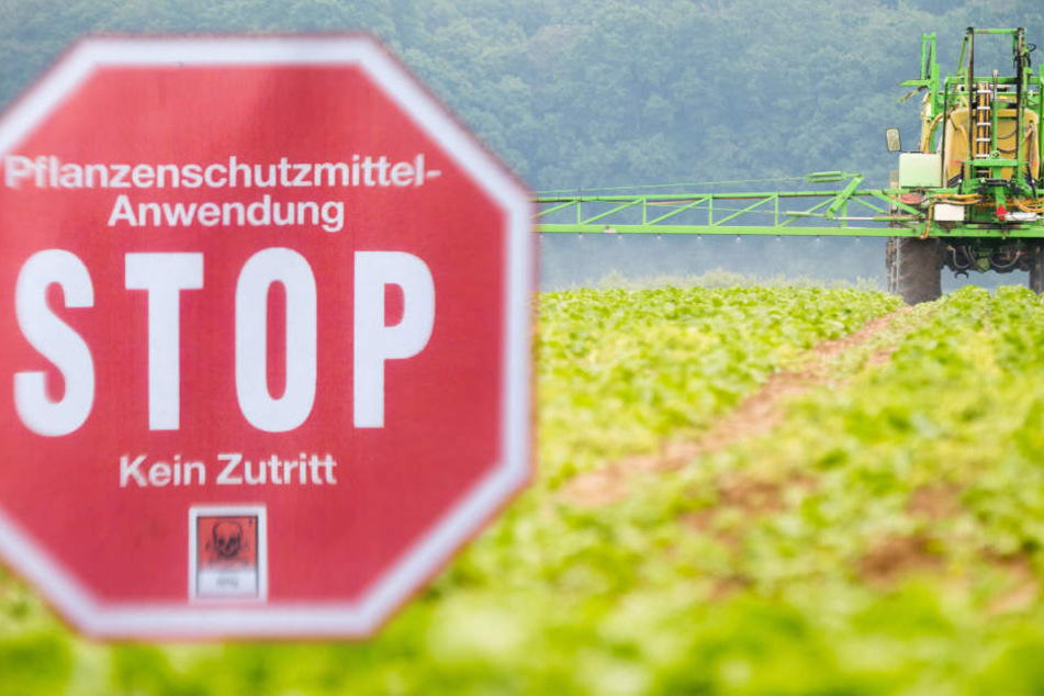 Der Vorstoß geht dem hessischen Bauernverband zu weit. (Symbolbild)