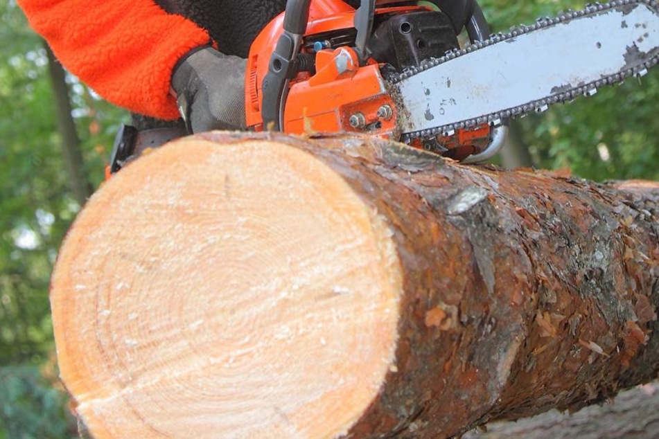 Der Mann (65) soll bei Gartenarbeiten tödlich verletzt worden sein (Symbolbild).
