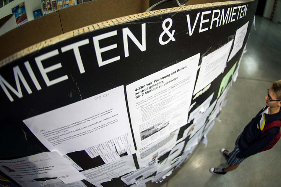Ein Student Betracht die Wohnungsanzeigen am Schwarzen Brett der Universität.