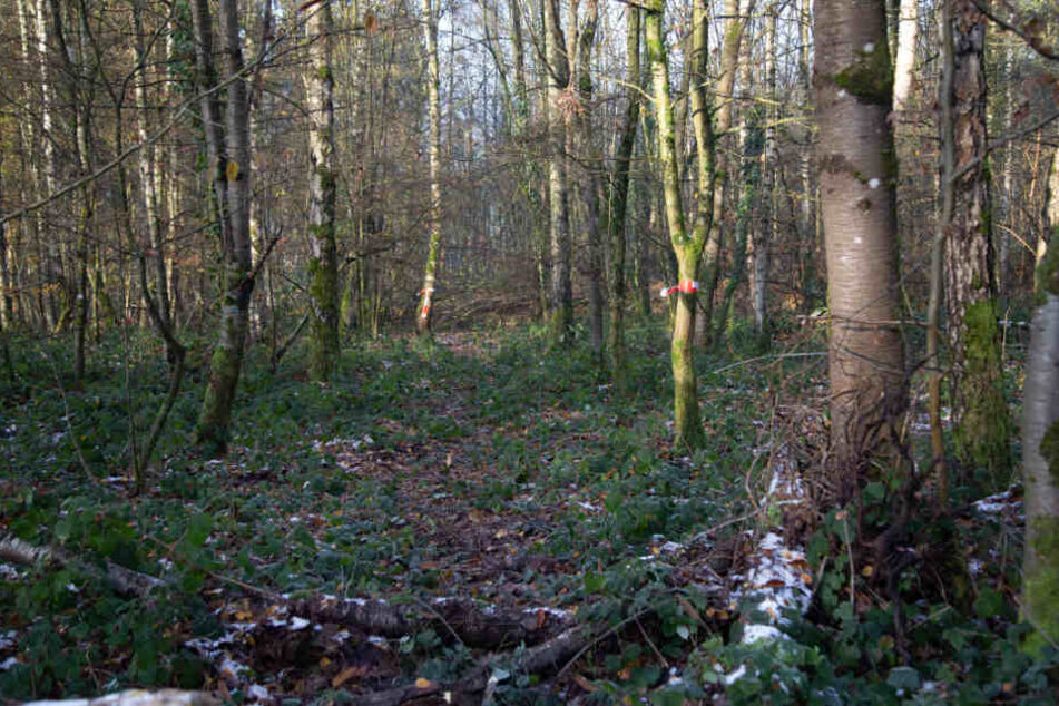 In einem Waldstück fanden die Jäger sterbliche Überreste.