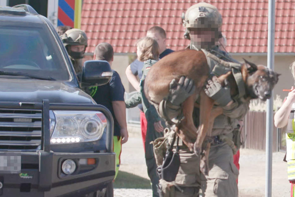 Der Hund wurde mit einem Schuss durch die Lunge verletzt.