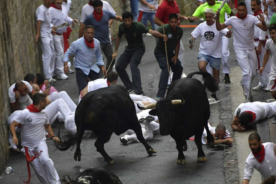 Wahnsinn? Teilnehmer der Stierhatz treiben zwei Stiere durch die Gassen von Pamplona.