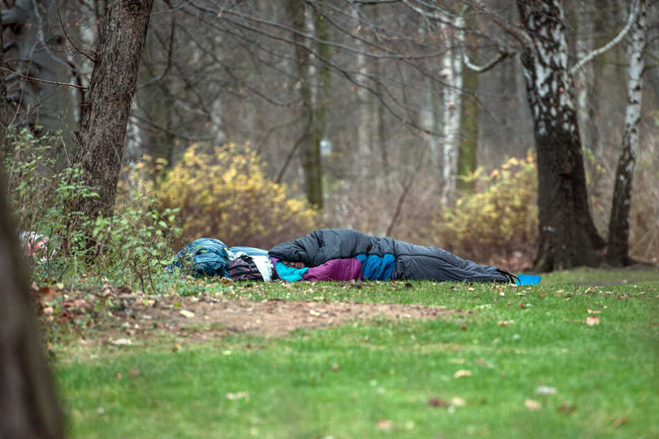 Ein Obdachloser schläft eingehüllt in einem Schlafsack im Tiergarten.