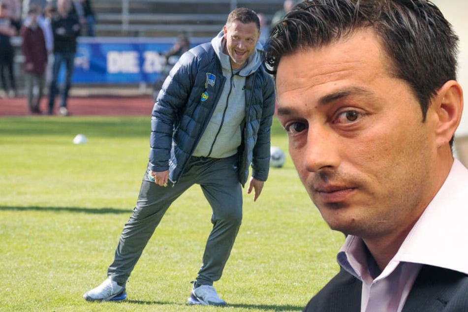 Ante Covic könnte auf Pal Dardai folgen.