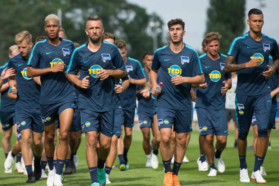 Kiprit und die starke Konkurrenz: Neben Vedad Ibisevic (l.) und Davie Selke (r.) hatte der junge Stürmer einen schweren Stand.