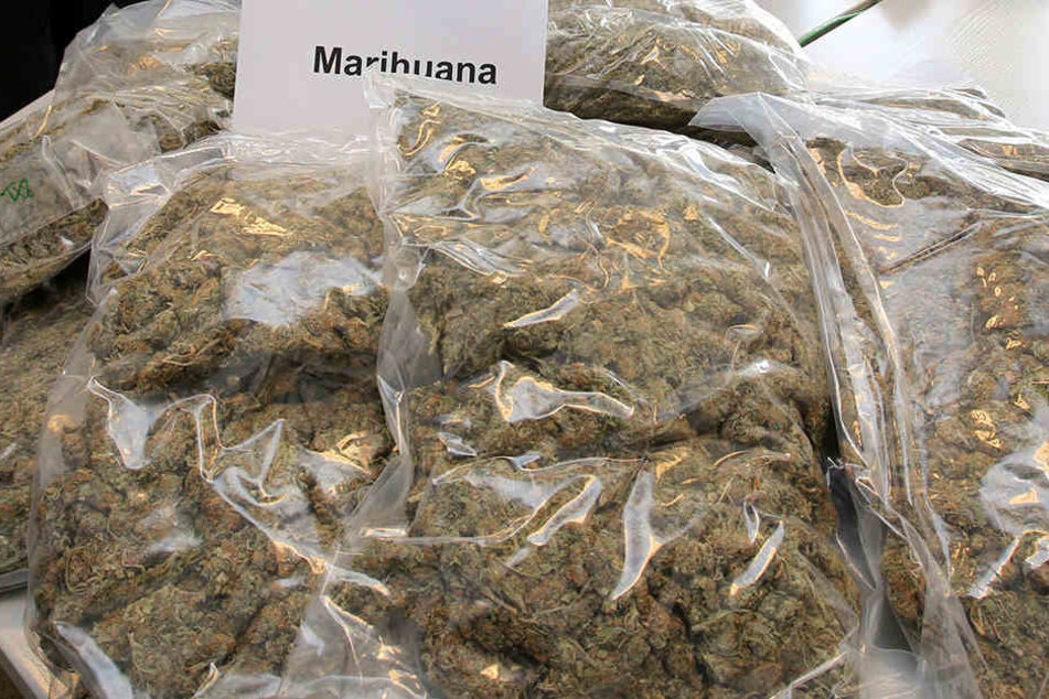 Rund 1,5 Tonnen Marihuana soll der Mann gekauft haben, um damit zu dealen. (Symbolbild)