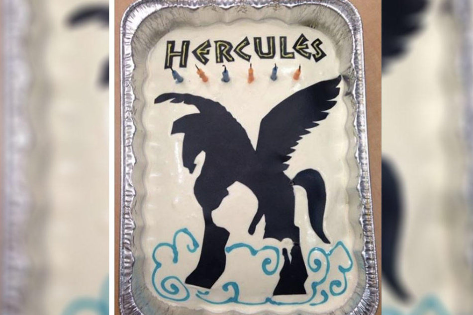 Peinlich! Eine Mutter wollte ihrem Kind zum Geburtstag diese Torte schenken, doch es passierte ein peinliches Missgeschick.