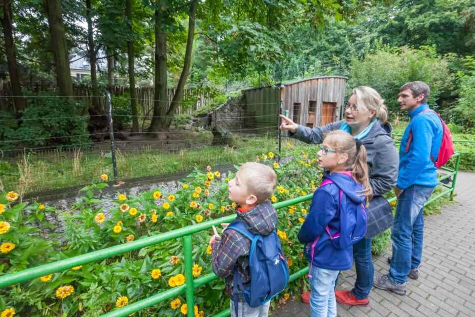 Wenn Kinder etwas über Tiere lernen wollen, müssen die Eltern als Wissensvermittler einspringen.