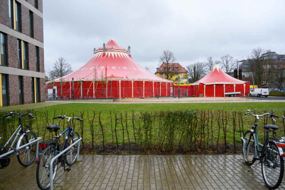 In diesem Zirkuszelt gibt es bald keine Clowns, dafür aber Studenten.