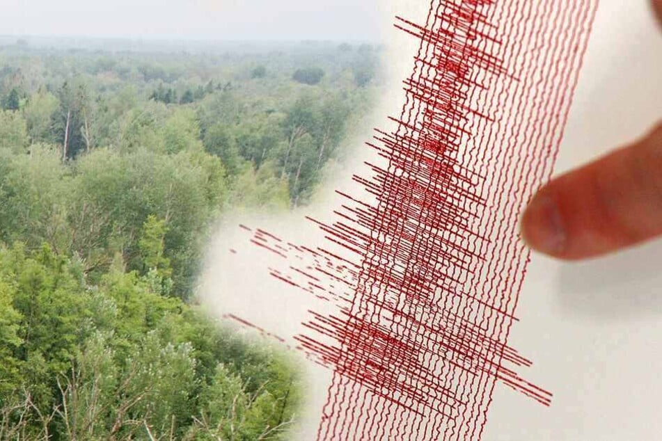 Kein Erdbeben, sonder zwei Überschallflüge waren der Auslöser für die Erschütterungen.